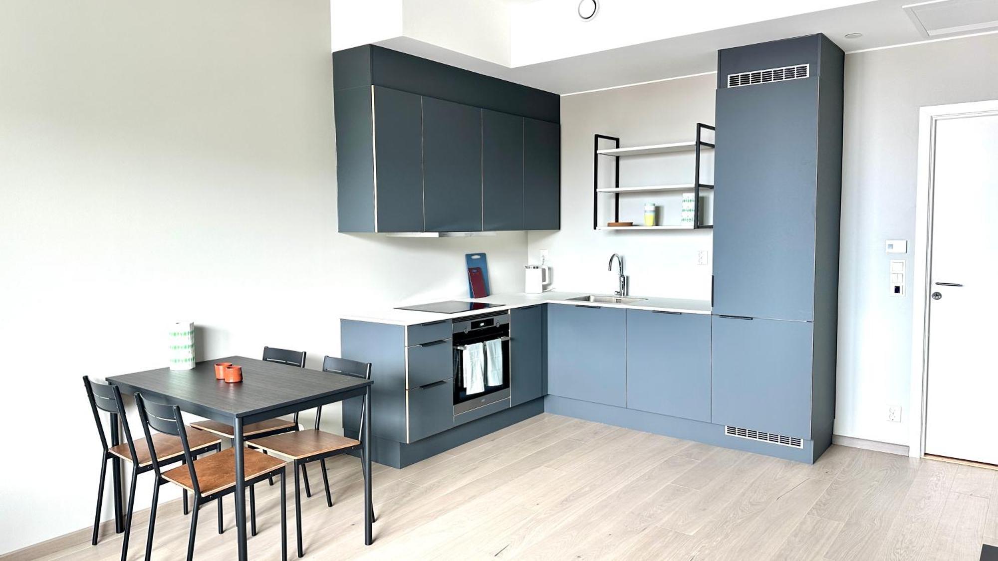Brand New And Modern Apartment In Oslo Center Экстерьер фото